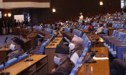 संसदको शून्य समय : रोजगारीदेखि एमसीसीसम्मका विषय