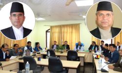 सर्वोच्चको न्यायाधीशमा प्रस्तावित सुवेदी र चुडालको नाम सर्वसम्मतले अनुमोदन