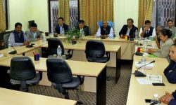 प्रस्तावित न्यायाधीशद्वय चुँडाल र सुवेदीको संसदीय सुनुवाइ आगामी वैशाख ३ गते