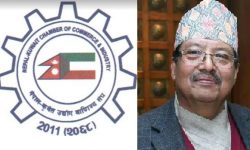 नेपाल-कुवेत उद्योग वाणिज्य संघको अध्यक्षमा मालाकार सर्वसम्मत चयन