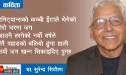 नयाँ वर्ष (भिडियोसहित)