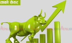 नेप्से २६ सय ३७ अंकमा, सातामा ३३ अर्ब ९६ करोडको कारोबार