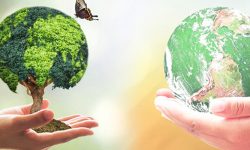 आज विश्व पृथ्वी दिवस : ‘जलवायु परिवर्तनको असर कम आवश्यक’