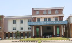 युसीएमएसद्वारा दैनिक ८ सय अक्सिजन सिलिण्डर आपूर्तिका लागि अपिल