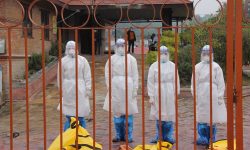 पशुपतिमा रुवाबास ! (फोटो फिचर)