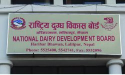 दुग्ध पदार्थको मौज्दात रहँदा भुक्तानी रोकियो