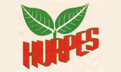 ‘राष्ट्रपतिको निर्णय विवादास्पद, प्रतिनिधिसभा विघटन दुर्भाग्यपूर्ण, प्रतिगामी अध्यादेश निन्दनीय’