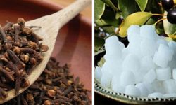 ल्वाङ-कपुरले अक्सिजन बढ्दैन