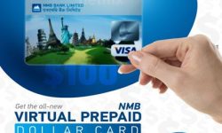 एनएमबी बैंकको अन्तर्राष्ट्रिय प्रिपेड डलर कार्ड अनलाइनबाटै प्राप्त गर्न सकिने