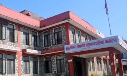 पोखरामा आन्तरिक मुल्यांकनबाट परीक्षाफल प्रकाशन गर्ने तयारी