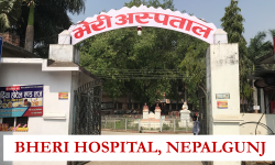 स्वास्थ्यकर्मीमाथि भएको आक्रमणबारे छानबिन गर्न गठित समितिले बुझायो प्रतिवेदन