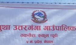 गाउँपालिका टुक्र्याउने प्रस्ताव गाउँसभाबाट पारित