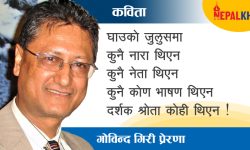 घाउहरूको मौन हर्ष जुलुस