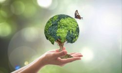 विश्वका चार प्रभावशाली देशका नेताहरुबीच हरित वृद्धीबारे छलफल हुँदै