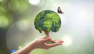 विश्वका चार प्रभावशाली देशका नेताहरुबीच हरित वृद्धीबारे छलफल हुँदै