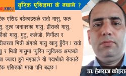 युरिक एसिड बढ्दा खानै नहुने कुराहरु !