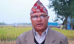 नेतृत्वमा भएको कमीकमजोरी सच्याउनु आवश्यक छ : मुख्यमन्त्री कार्की