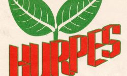 रुस–युक्रेन युद्ध : मानवता पराजित, इतिहास लज्जित