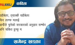 चोरहरुको सम्मानमा