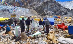 मकालुबाट सात हजार किलो फोहोर संकलन