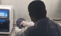 ग्रान्डीमा पीसीआर परीक्षण ल्याब सञ्चालन