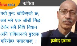 गिद्धको ‘क्याटवाक्’ !