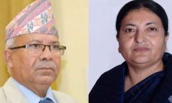 राष्ट्रपति भण्डारी र एमाले नेता नेपालबीच भेटवार्ता