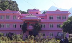 वालिङमा ‘जनस्वास्थ्य विपत्’ घोषणा