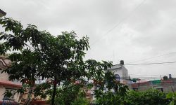 काठमाडौं उपत्यकामा झरी ! (फोटो फिचर)