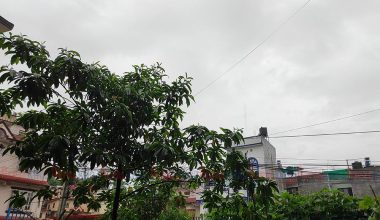 काठमाडौं उपत्यकामा झरी ! (फोटो फिचर)