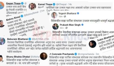 विभिन्न व्यक्तित्वले यसरी सम्झिए उज्ज्वललाई !