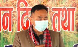 ‘धानको उत्पादनलाई वृद्धि गरी आत्मनिर्भर हुन सकेमात्रै देशमा समृद्धि प्राप्त हुन्छ’