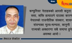राज्यसंयन्त्रका सबै मूल्य-मान्यता र प्रक्रिया ध्वस्त पारेर विकासको खोजी ?