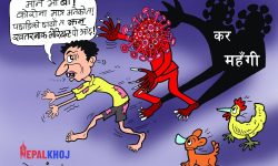 घोचपेच !