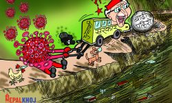 घोचपेच !