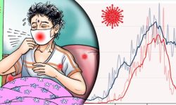 ‘लक्षितवर्गमा परीक्षण नहुँदा कोरोना संक्रमितको तथ्यांक घट्यो’