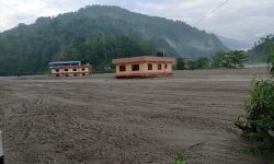 एनसेटको १० वर्षे रणनीतिक योजना सार्वजनिक