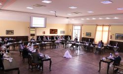 प्राधिकरणको संरचना र कार्यप्रणाली कात्तिक मसान्तसम्म यथावत् रहने