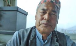 नरोत्तम वैद्यको अभिव्यक्तिको चौतर्फी आलोचना