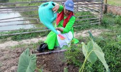 विश्व वातावरण दिवसमा व्यस्त अभियन्ता, देशैभर वृक्षरोपण गरिँदै (फोटो फिचर)