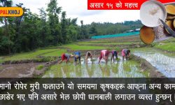 खेतालालाई मसला र रुमाल, आकाशे पानीकै भरमा किसान !