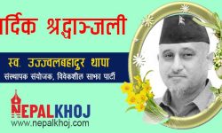 अलबिदा उज्ज्वल थापा !