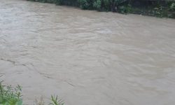 नदी, खोलामा पनि पानीको सतह बढ्यो