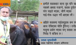 ‘छाडा गाईगाेरुका पेटमा प्लास्टिक र कपडामात्रै हुन्छ’ (भिडियो रिपोर्ट)