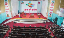 गण्डकी सरकारको नीति तथा कार्यक्रम बहुमतले पारित