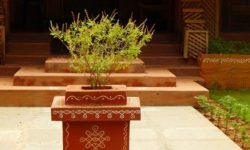 आज निर्जला एकादशी : घरघरमा तुलसीको दल राखिँदै