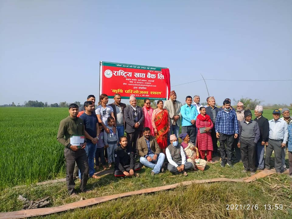 राष्ट्रिय खाद्य बैंकको प्रमोर्टर सेयरमा अत्याधिक प्रतिवद्धता, असार मसान्तबाट सेयर बिक्रिहुने