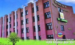कृषि विकास बैंकको ऋणपत्र निष्कासनको तयारी, बिक्री प्रबन्धकमा एनआईबीएल एस क्यापिटल