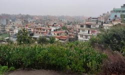 विभिन्न प्रदेशमा भीषण वर्षाको सम्भावना