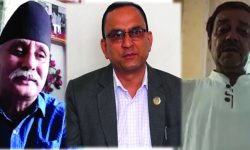 ‘संवैधानिक आयोगमा नियुक्ति संविधानको मर्मअनुसार भएन’